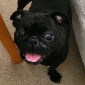 Meet your Posher, Tyler